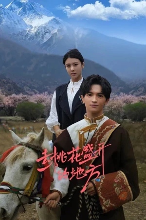 Đi Đến Nơi Hoa Đào Nở Rộ - Finding Home in Blossoms