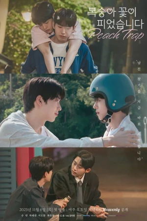 Hoa Đào Nở - Peach Trap