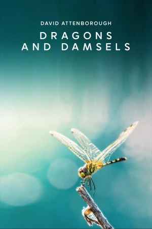 Loài Chuồn Chuồn - Dragons and Damsels