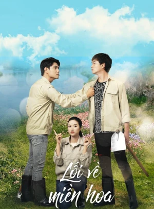 Lối Về Miền Hoa - Lối Về Miền Hoa