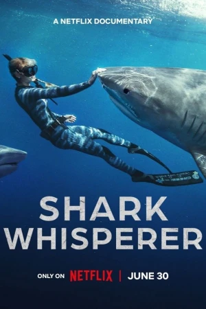 Người bạn của cá mập - Shark Whisperer