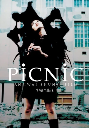 PiCNiC - Picnic