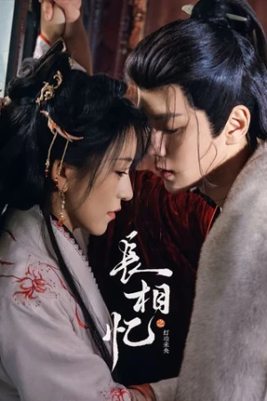 Trường Tương Ức - 长相忆之灯冶未央