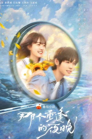 Đêm Đoàn Tụ Ấy (Vietsub)